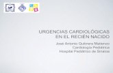 Urgencias cardiológicas en el recién nacidoneonatologosyucatan.org.mx/admin/uploads/page_blog_posts/02... · Revisión sistemática, 13 estudios, con información de 229,421 recién