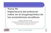 Tema 10: Importancia del potencial redox en la ... · Tema 10: Importancia del potencial redox en la biogeoquímica de los ecosistemas acuáticos Master en Cambio Global Salvador