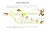 EL HOMBRE PREHISTÓRICO - EL REGISTRO FÓSILregistrofosilasierra.weebly.com/uploads/3/9/3/5/3935280/hombre... · confirmaron el origen del hombre en África. Sus restos demostraron