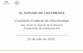 Comisión Federal de Electricidad - imta.gob.mx · De las presas y bordos de almacenamiento mencionados, más de 2 mil forman parte de la infraestructura de riego, que junto con 4