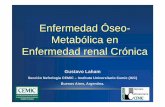 Enfermedad Oseometabolica en Enfermedad renal cronica · La enfermedad cardiovascular es la causa más frecuentede muerte en pacientes ... et al. N Engl J Med 2004; ... morphology