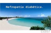 Algunos criterios sobre Diabetes Mellitus y Nefropatìa ….… · PPT file · Web view · 2014-03-09Nefropatía diabética. Curso natural de la nefropatía diabética. Categorías