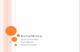Presentación de PowerPoint - Inicio | Kybele - Grupo de ...Expo... · UTILIZACIÓN “Hablar de RapidMiner es hablar de una tecnología que admite más de 500 técnicas de pre-procesamiento