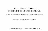 EL ABC DEL PERITO JUDICIAL - datos.aplicacion.com.ardatos.aplicacion.com.ar/previews/2012/9789871745623_delcastillo... · LA PERICIA CONTABLE EN EL FUERO PENAL ... se de ta lla la
