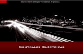 CENTRALES ELÉCTRICAS – Año de Publicación: 2012 ELÉCTRICAS Secretaría de Energía – República Argentina Página 4 NUCLEARES La producción de energía se logra mediante la