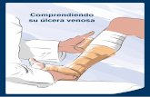 Comprendiendo su úlcera venosa - Misión Compresión€¦ ·  · 2017-10-161Conferencia nacional de consenso sobre úlceras de la extremidad inferior. Documento de consenso CONUEI.
