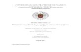UNIVERSIDAD COMPLUTENSE DE MADRID - Archivo …eprints.ucm.es/41355/1/T38438.pdf ·  · 2017-02-15ULCERAS CUTÁNEAS ... Conferencia Nacional de Consenso sobre las úlceras de extremidad