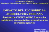 IMPACTO DEL TLC SOBRE LA AGRICULTURA PERUANA · textiles hacia USA (las confecciones crecieron en 28.7% entre 2002 y 2003, llegando a $ 505 millones), no se estimuló la producción