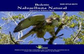 Boletín ISSN 0719-8574 Nahuelbuta Naturalcordilleradenahuelbuta.cl/descargas/Boletin-Nahuelbuta-Natural...1 Fundación Ñankulafkén, ... Se conocen tres tipos de poliginia: (i) tipo