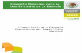 Proyecto Nacional de Eficiencia Energética en Alumbrado ... · alumbrado público por sistemas más eficientes, en donde se identifique un potencial importante de abatimiento de