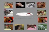 Catálogo de sementales 2018 - yeguadavalledeolid.com · TEMPORADA 2018 La Yeguada Valle de Olid te presenta su catálogo de sementales para la temporada 2018, esperamos que sea de