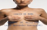 Cáncer de Mama - Clases y Libros – Just another …€¦ · PPT file · Web view · 2012-09-13Enfermedad limitada = tumorectomia + radioterapia. ... Este tipo de tumor se puede