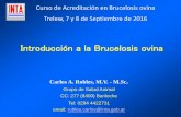 Introducción a la Brucelosis ovina - colvetchubut.org.ar · Epidídimo completo 11 14.7 7.56 - 24.7 TOTAL 75 Donde están las lesiones ? ... Recordar que la Brucelosis es una enfermedad