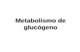 Metabolismo de glucógeno - depa.fquim.unam.mxdepa.fquim.unam.mx/amyd/archivero/9.0METABOLISMODEGLUCOGE… · El glucógeno es un almacén de glucosa rápidamente movilizable. Se