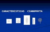 Diapositiva 1 - CIENCIAS BIOLÓGICAS Y C. EN …€¦ · PPT file · Web view · 2012-10-25CARACTERISTICAS CIANOPHYTA División Cyanophyta: procariotas (sin núcleo verdadero) autótrofos