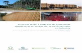 Situación actual y potencial de fomento de plantaciones ...³n actual y potencial de fomento de plantaciones forestales con fines comerciales en Colombia Informe final del programa