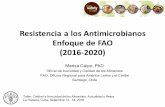 Resistencia a los Antimicrobianos Enfoque de FAO … Antibióticos - Medicina Humana Hospitales Mascotas Animales de granja Antibióticos –Medicina Veterinaria Fertilizante Antibióticos