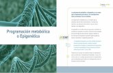 Programación metabólica o Epigenética - nutriNews · La programación metabólica o Epigenética es un campo que ha despertado gran interés, con investigaciones tanto en humanos