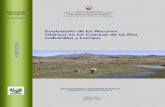 Evaluación de los Recursos Hídricos en las Cuencas de los ... · introduccion al analisis hidrologico ... analisis de frecuencia de maximas avenidas.....10 —195 10.2.1. informacion