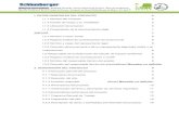 Manifiesto de Impacto Ambiental Modalidad Particular ...sinat.semarnat.gob.mx/dgiraDocs/documentos/camp/estudios/2011/04… · II – 01 RFC de la empresa Schlumberger de México