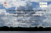 CONTAMINACIÓNPORMERCURIOEN)) …amazonwaters.org/wp-content/uploads/2016/06/Contaminacion-por... · mercurio en)colombia) monitoreo)de ... 0.39-0.89 mg hg/kg sinchi ... i n sti t