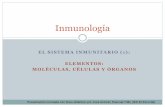EL SISTEMA INMUNITARIO (1): ELEMENTOS: …japt.es/vida/inmunologia 1_elementos.pdf · mastocitos o celulas cebadas linfocitos t linfocitos b linfocitos citoliticos naturales (nk)