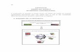 A. ESQUEMA DE LA PROPUESTA. - ri.ufg.edu.svri.ufg.edu.sv/jspui/bitstream/11592/7251/4/630-A683d-Capitulo III.pdf · Esquema del Modelo de Empresa Agroindustrial . 97 B. TAMAÑO DEL