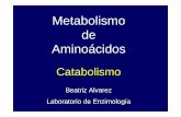 Metabolismo de Aminoácidos - enzimologia.fcien.edu.uyenzimologia.fcien.edu.uy/BQII 2011/Metabolismo de aminoácidos... · de unidades monocarbonadas al pool de folato. La glicina