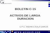 BOLETIN C-15 ACTIVOS DE LARGA DURACIONclubvirtual.gvaweb.com/admin/curricula/material/C-15.pdf · w w w . g v a w e b . c o m 4 Objetivos Los objetivos de este boletín son: a) Proporcionar