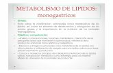 METABOLISMO DE LIPIDOS: monogastricos - eliasnutri · lipidos: funciones 1.altorendimientocalorico 2. alta produccion de agua metabolica 3. aislante contra excesivos intercambios