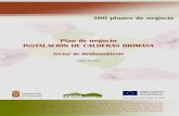 PROYECTO 2: ESTUDIO DE VIABILIDAD - Granada … · Plan de Negocio “Instalación de calderas biomasa ... Empresas fabricantes y empresas instaladoras de equipamientos de calderas
