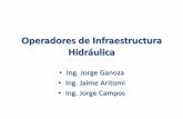 Operadores de Infraestructura Hidráulica - ANA exp. ing. jorge campos csh esquema... · Sistema hidráulico formado por un conjunto de canales SISTEMA HIDRAULICO III Confuentedeaguacomún