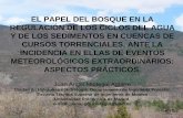 EL PAPEL DEL BOSQUE EN LA REGULACIÓN DE LOS CICLOS DEL AGUA Y … ·  · 2014-08-192 Las necesidades hídricas del bosque y su repercusión ... Entre 12 % < p < 30%, ... DE ARRATIECHO