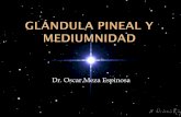 Dr. Oscar Meza Espinosa - Central Espirita Mexicana | … la Glandula Pineal con ayuda del microscopio optico, scaneo de electrones de microscopio, rayos X (1998). Gl ...