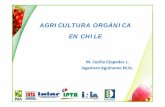 Agricultura orgánica en Chile - INIA · Busca optimizar la calidad de la ... Se actualiza la Norma ... Muestra colectada desde bosque nativo para el estudio de control biológico