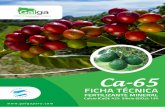 Ca-65 FICHA TECNICA - galgaperu.comgalgaperu.com/wp-content/uploads/2017/01/Ca-65 FICHA TECNICA.pdfMejora la capacidad de intercambio catiónico (C.I.C.) Regula el del PH en el suelo.