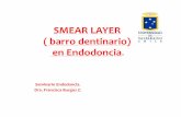 SMEAR LAYER barro dentinario) en Endodoncia una estructura poco adherida y una vía potencial de ... Restauraciones para amalgama. Planificación operatoria y preparaciones cavitarias.
