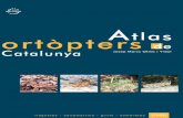 Atlas dels Ortòpters de Catalunya Roland Palacios, Eva Piñero i Jacint Salabert per ajurdar-me a “fer” quadrícules. A en Joan Barat, Miguel Carles-Tolrá, Arcadí Cervelló,