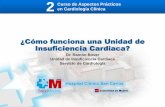 Presentación de PowerPoint - CardioTeca.com · Atienza F. Insuficiencia Cardiaca. ... Sistólica vs. Diastólica AP, MIN, Cardiología, Urgencias, Cirugía Cardiaca IC avanzada (trasplante)