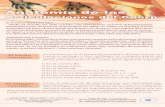 AAnatomía de lasnatomía de las - ccislamicoreyfahd.org.arccislamicoreyfahd.org.ar/Documentos/ciencia/4-Anatomia de las... · AArticulaciones del Cuerprticulaciones del Cuerp El