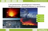Los procesos geológicos internos. Magmatismo, …iespoetaclaudio.centros.educa.jcyl.es/sitio/upload/16... · 2011-07-19 · Aureola metamórfica de contacto Plutón VOLVER. INICIO