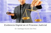 Evidencia Digital en el Proceso Judicial - OAS/OEA :: Home · 2016-11-03 · Necesidad de la evidencia digital • En un mundo donde el uso de la redes de comunicaciones es cada vez