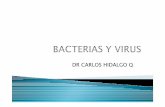 DR CARLOS HIDALGO Q - cpu.usmp.edu.pe · Espirilos:Son bacilos flexibles de forma helicoidal. ... (semillas) cuerpos ... Neurotrópico Sistema Nervioso