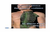 Anatomía Clínica del Sistema Linfático - ananor.net · Anatomia Normal UNT. Introducción ... de órganos y con un sistema ganglionar atomizado que se ... simple vista aspecto