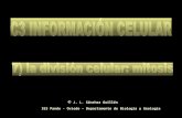 J. L. Sánchez Guillén IES Pando - Oviedo Departamento … LA DIVISIÓN CELULAR La división celular es un proceso biológico que en los seres unicelulares permite su multiplicación
