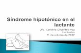 Síndrome hipotónico en el lactante - kindermed.infokindermed.info/ Inc. Hipotonía ... y de mayor tamaño, inervan las fibras intrahusales musculares en el huso muscular y contribuyen