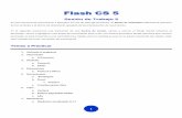 FFFFlllaaaassshhhh CCCCSSSS 5555 - …cursosi3.webs.com/Manual de Flash CS5 Sesion 5.pdfde los símbolos y el efecto de desenfocar apoyado de las interpolación de movimiento. ...