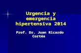 Urgencia y emergencia hipertensivasanroque.webs.fcm.unc.edu.ar/files/2013/09/URGENCIA-Y... · PPT file · Web view2017-04-19 · Chest 2007;131:1949-62 Crisis simpáticas Cocaína,
