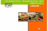 Alimentos Orgánicos en México. · Web viewLos alimentos orgánicos son aquellos producidos sin pesticidas ni agroquímicos sintéticos y son controlados en toda la cadena productiva,
