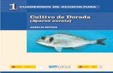 01 LA DORADA Num 01 - mapama.gob.esmapama.gob.es/app/JACUMAR/especies/Documentos/Cultivo_Dorada.pdf · capaz de vivir en condiciones de salinidad variables entre el 3 y el 70 ‰,